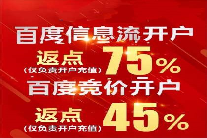 某知名企业竞价推广策略全解析